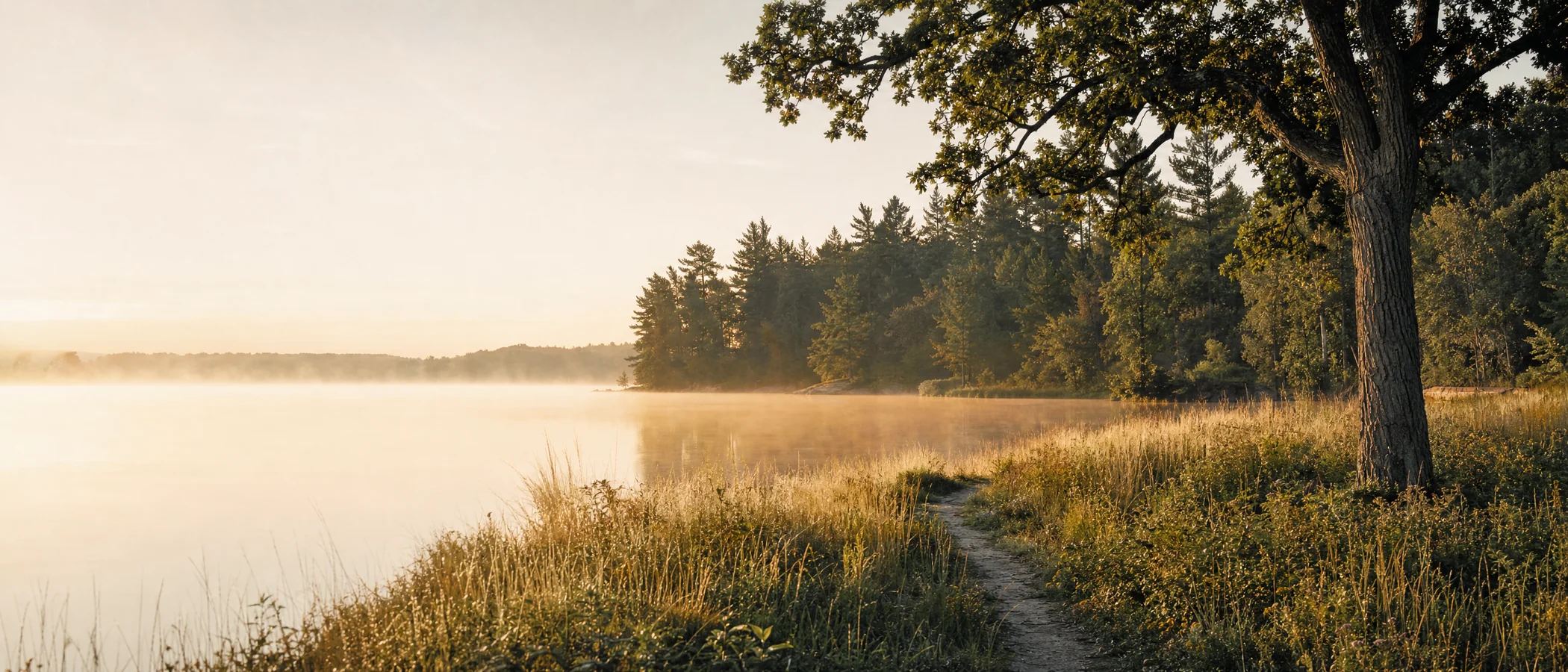 A quiet lake and meadow in warm morning light